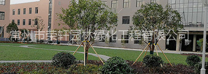 成功獲批園林綠化三級(jí)資質(zhì)