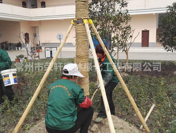 丹陽沃特施工